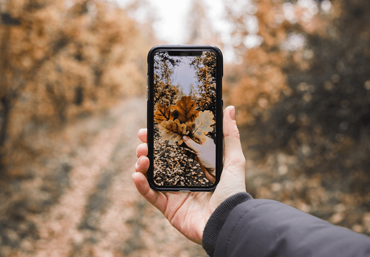 The Ultimate Guide to Great iPhone Photography ShutterRelease