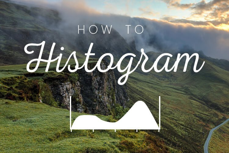 Histogram Title
