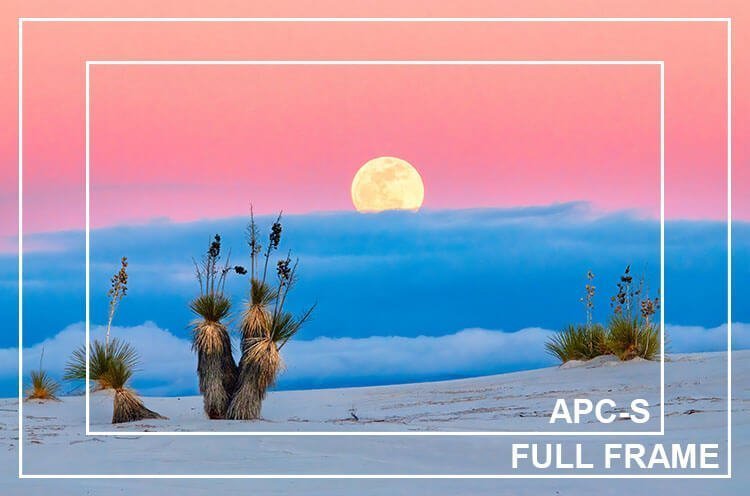 Full frame vs APC-S