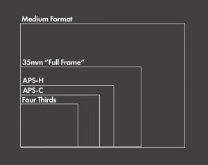 APS-C vs Full Frame Which is Better? - ShutterRelease