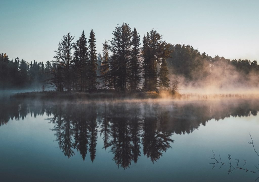 landscape reflection