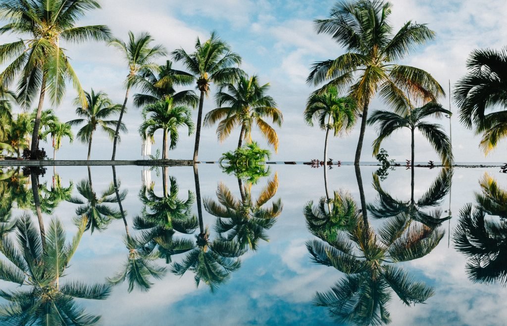 Tropical paradise with symmetric reflection of palm trees in tranquil water showcasing serene nature landscape, perfect for travel and vacation destination content.